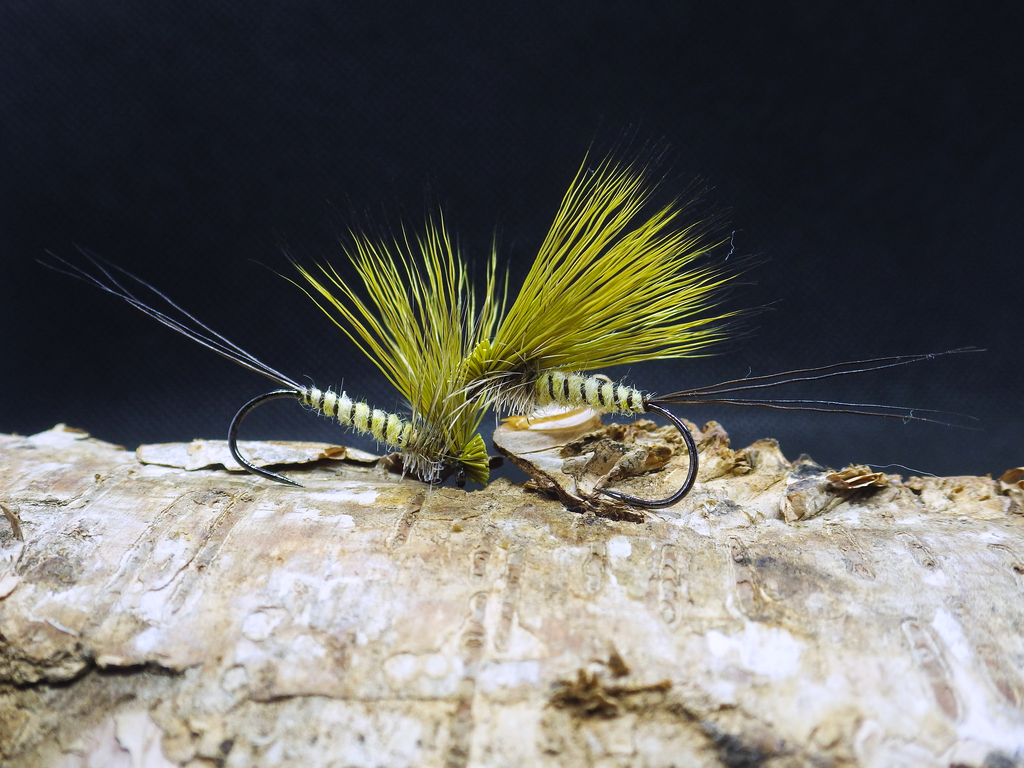 Concerning Mayflies (Ephemera danica) - Monnow Mayfly Variant